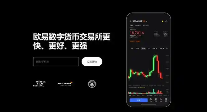 C币pay钱包平台展示图